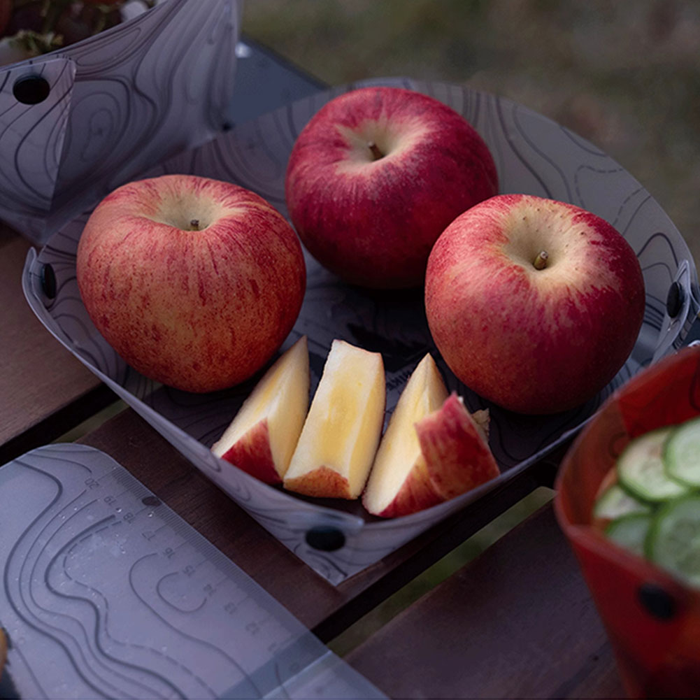 Conjunto de Utensílios de Camp - Camping Cooking Hot Plate avaliação e preço